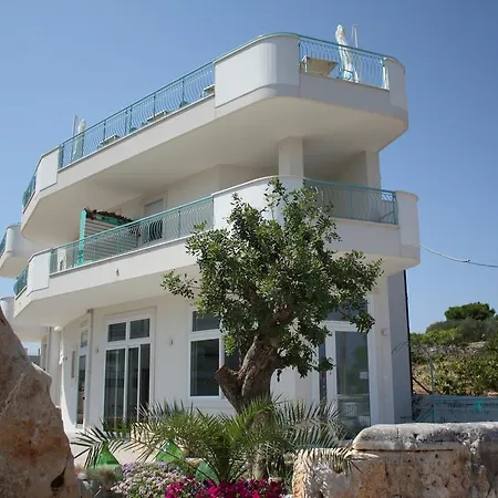 Alalama B&B 폴리나노 아마레